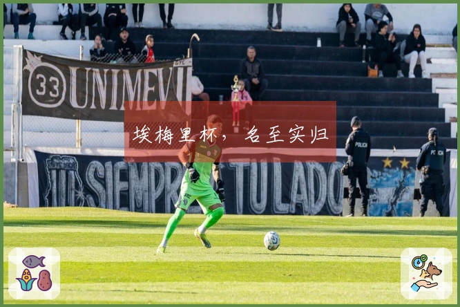 埃梅里杯，名至实归